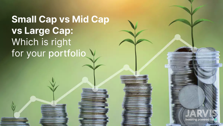 Small cap, mid cap and large cap - which is right for your portfolio